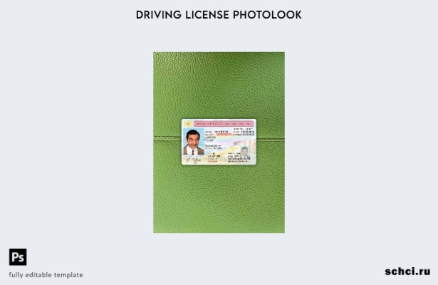 цифровая загрузка США, штат Нью Мексико, шаблон DL Photolook FRONT